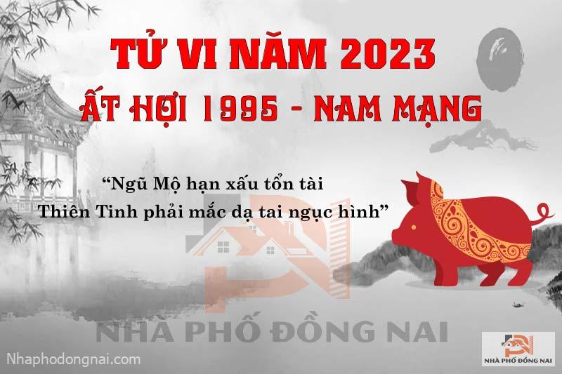 van-han-nam-2023-at-hoi-1995-nam-mang
