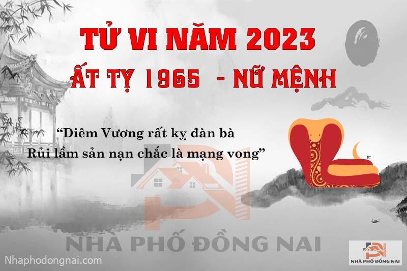 van-han-nam-2023-at-ty-1965-nu-mang