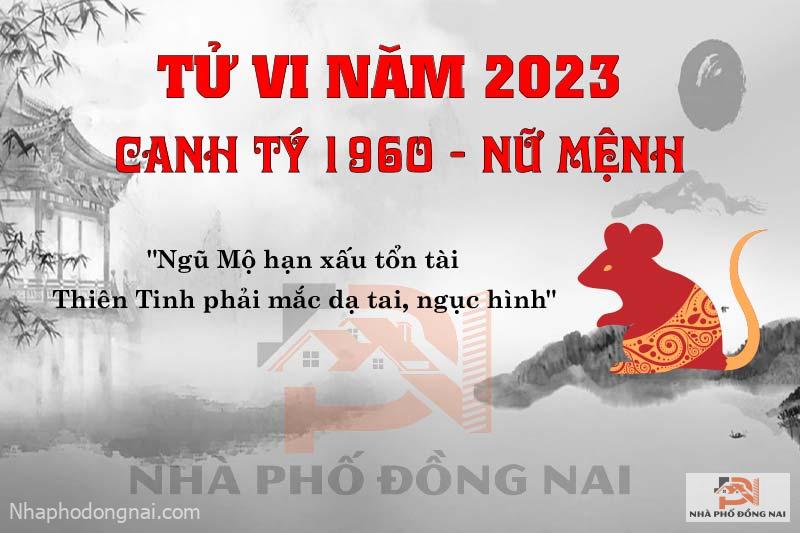 van-han-nam-2023-canh-ty-1960-nu-mang