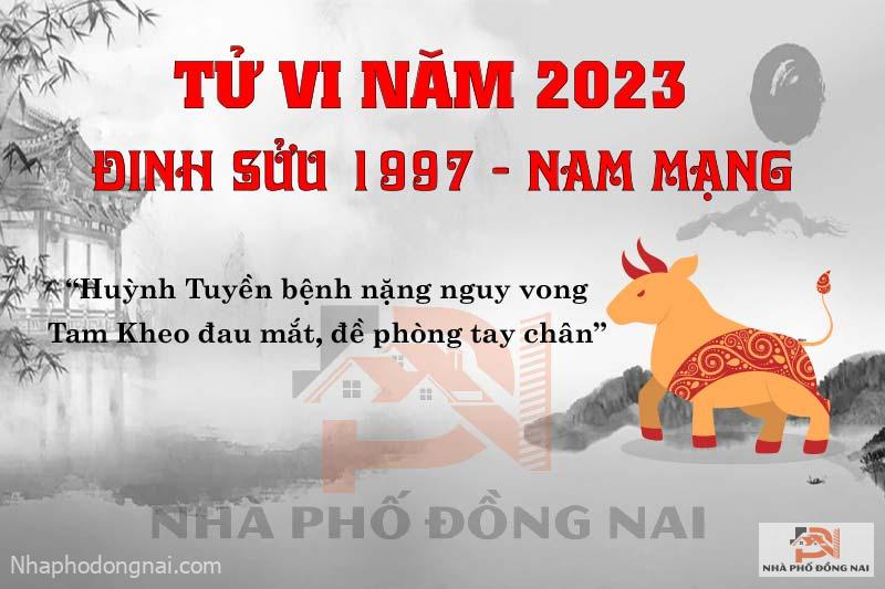van-han-nam-2023-dinh-suu-1997-nam-mang