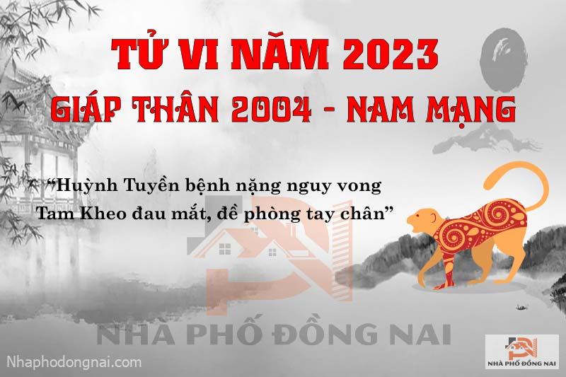 van-han-nam-2023-giap-than-2004-nam-mang