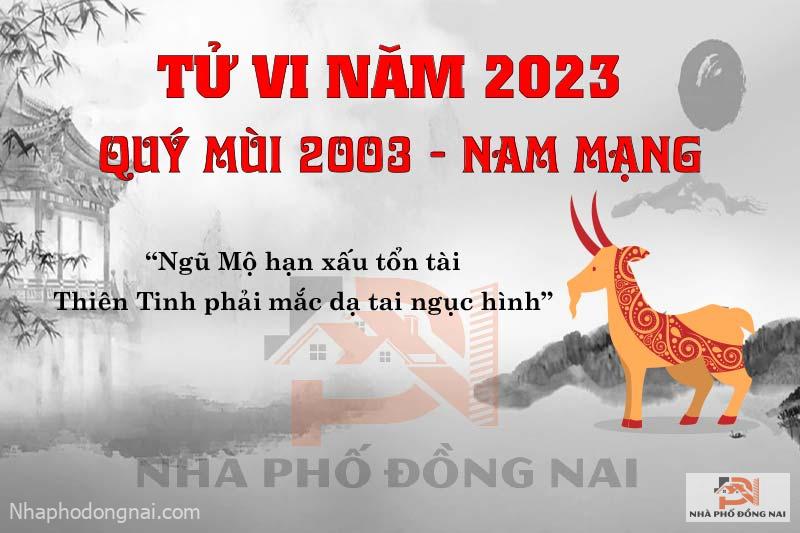 van-han-nam-2023-quy-mui-2003-nam-mang