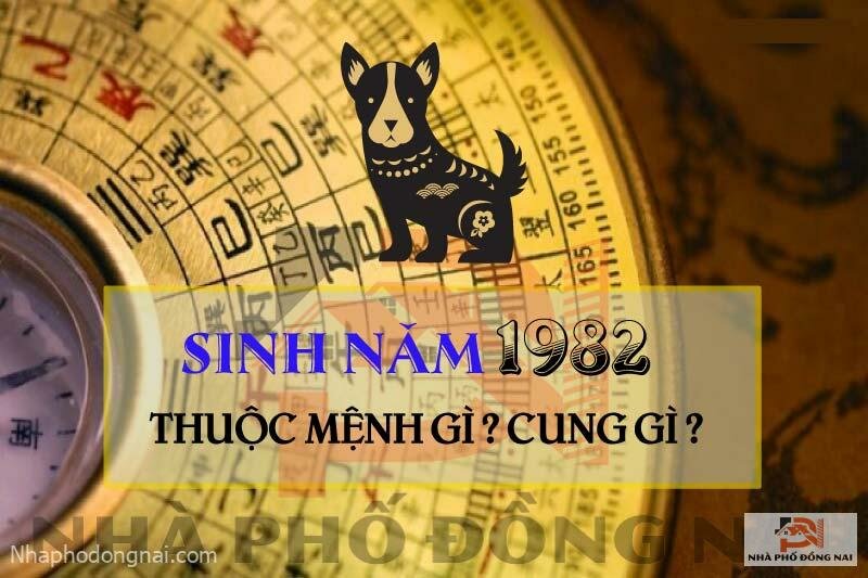 sinh-nam-1982-menh-gi-cung-gi