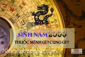 sinh-nam-2000-menh-gi-cung-gi