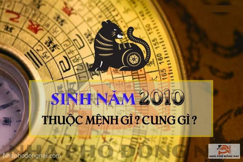 sinh-nam-2010-menh-gi-cung-gi