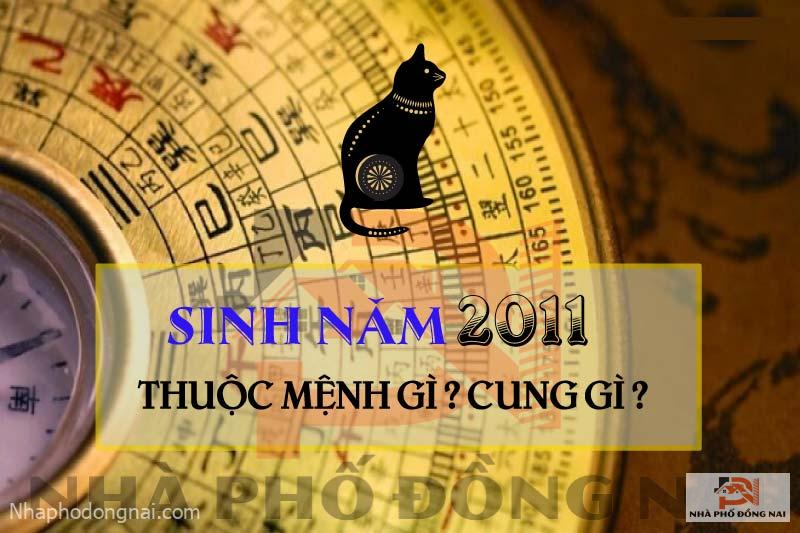 sinh-nam-2011-menh-gi-cung-gi