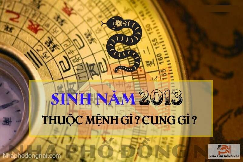 sinh-nam-2013-menh-gi-cung-gi