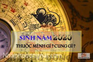 sinh-nam-2020-menh-gi-cung-gi