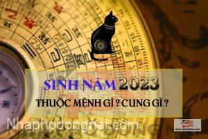 sinh-nam-2023-menh-gi-cung-gi