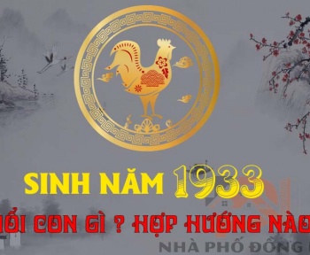 sinh-nam-1933-tuoi-con-gi