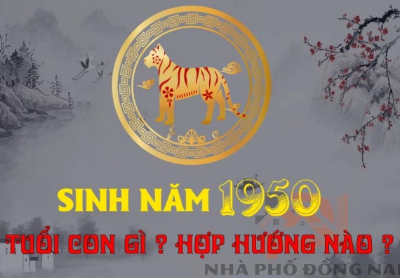 sinh-nam-1950-tuoi-con-gi