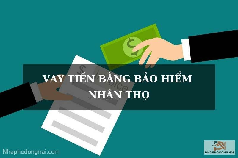 vay-tien-bang-bao-hiem-nhan-tho