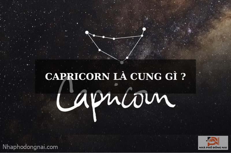 capricorn-la-cung-gi