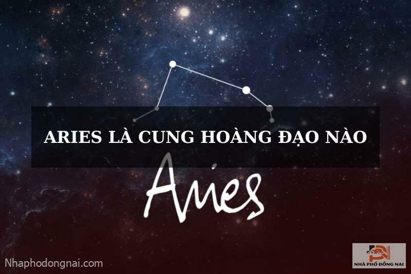 cung-aries-la-cung-gi