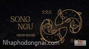 cung-song-ngu-5