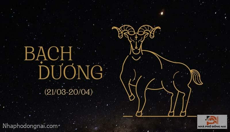 gioi-thieu-cung-bach-duong