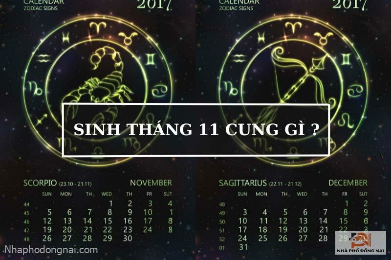 sinh-thang-11-cung-gi