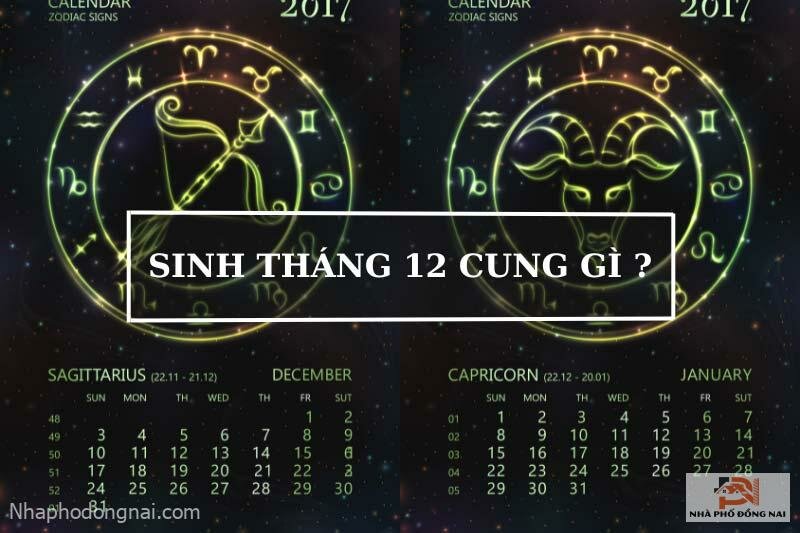 sinh-thang-12-cung-gi