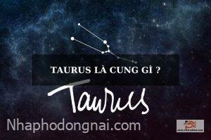 taurus-la-cung-gi-1