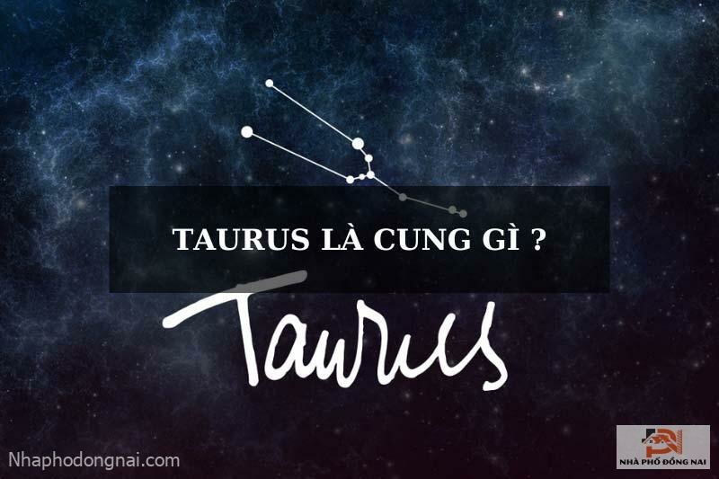 taurus-la-cung-gi-1