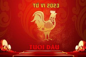 tu-vi-tuoi-dau-2023