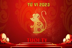 tu-vi-tuoi-ty-2023