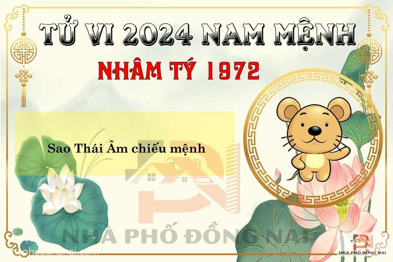 Sao Chiếu Mệnh Năm 2024 Của Tuổi Nhâm Tý 1972 Nam Mạng
