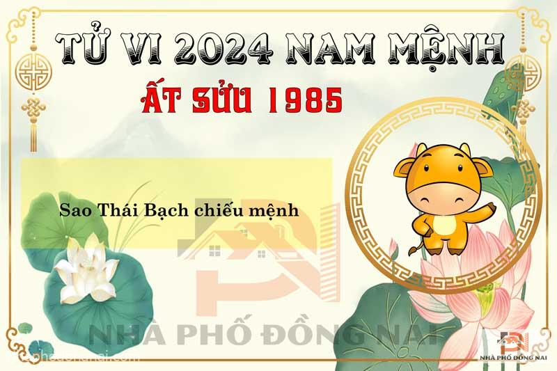 Sao Chiếu Mệnh Năm 2024 Của Tuổi Ất Sửu 1985 Nam Mạng