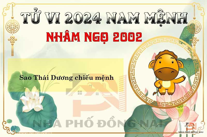 Sao Chiếu Mệnh Năm 2024 Của Tuổi Nhâm Ngọ 2002 Nam Mạng
