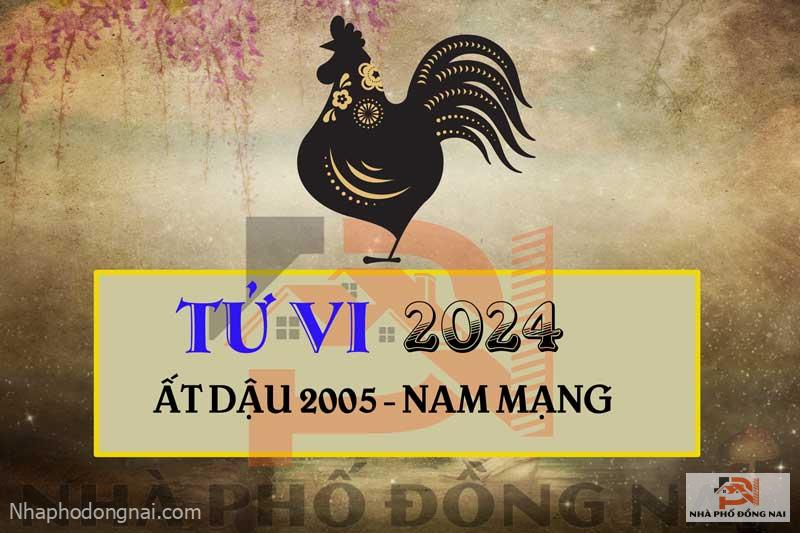 Tử Vi Tuổi Ất Dậu 2005 Năm 2024 Nam Mạng