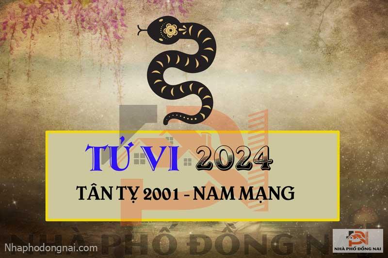 Tử Vi Tuổi Tân Tỵ 2001 Năm 2024 Nam Mạng