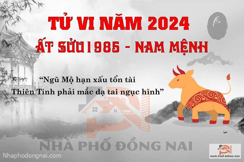 Vận Hạn Năm 2024 Của Tuổi Ất Sửu 1985 Nam Mạng