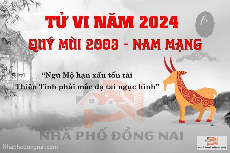 Vận Hạn Năm 2024 Của Tuổi Quý Mùi 2003 Nam Mạng